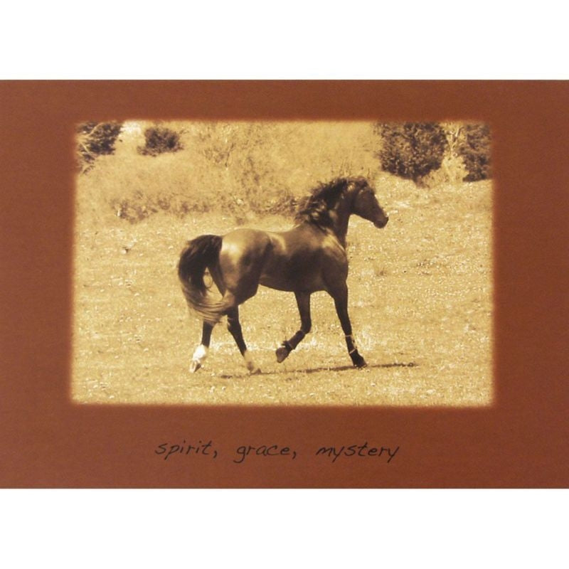 Sympathy Horse Spirit Grace Mystery Cards 6 Pack