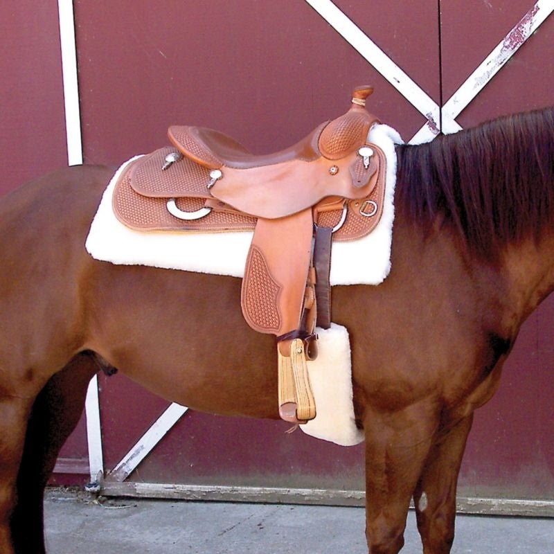 Toklat Woolback Cinch Cover