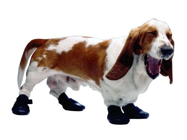 Walkabout Shoes Rubber 2Ct Xs