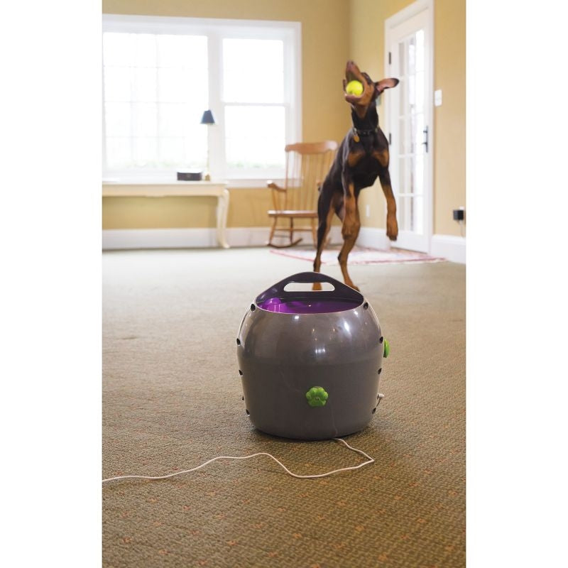 PetSafe Automatic Ball Launcher Dog Toy