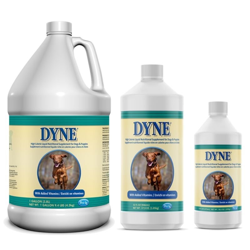 DYNE High Calorie Dog Supplement