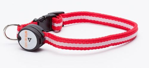L.E.D. Collar Xlarge 1 x 30 in