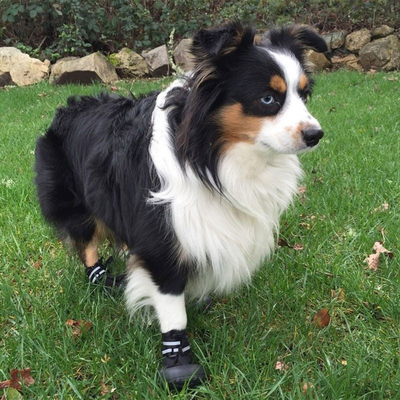 Doggles Black Dog Boots