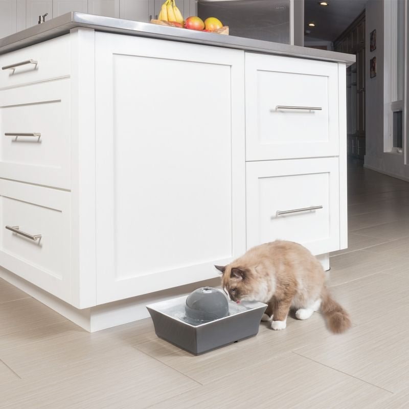 Drinkwell Seascape Automatic Pet Fountain
