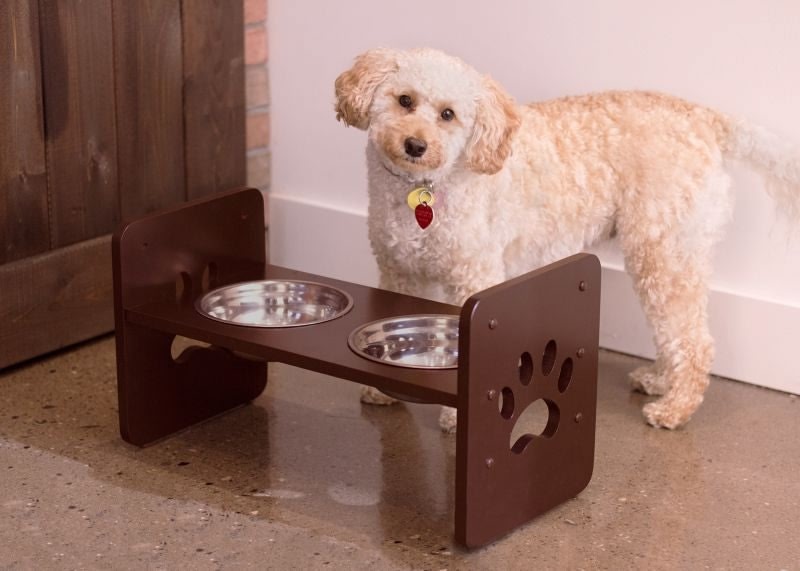 Merry Products Adjustable Pet Feeder