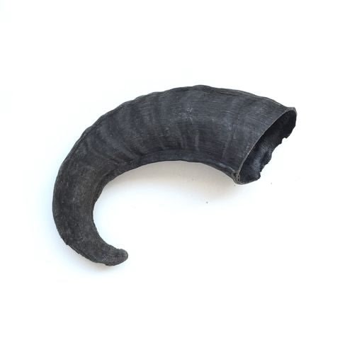 Icelandic Plus Lamb Horn Dog Chew