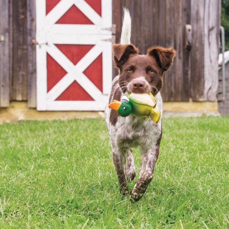 PetSafe Sportsmen Latex Meeze Dog Toy