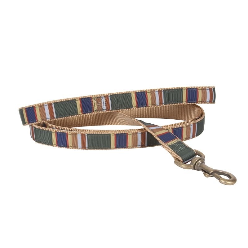Pendleton Hiker Badlands Dog Leash