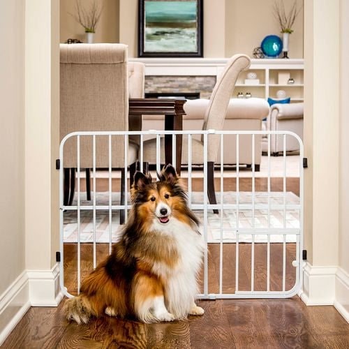 Carlson Pet Tuffy Expandable Gate with Pet Door