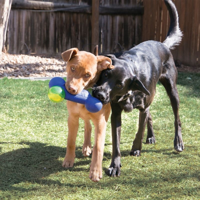 KONG Squeezz Action Bone Dog Toy