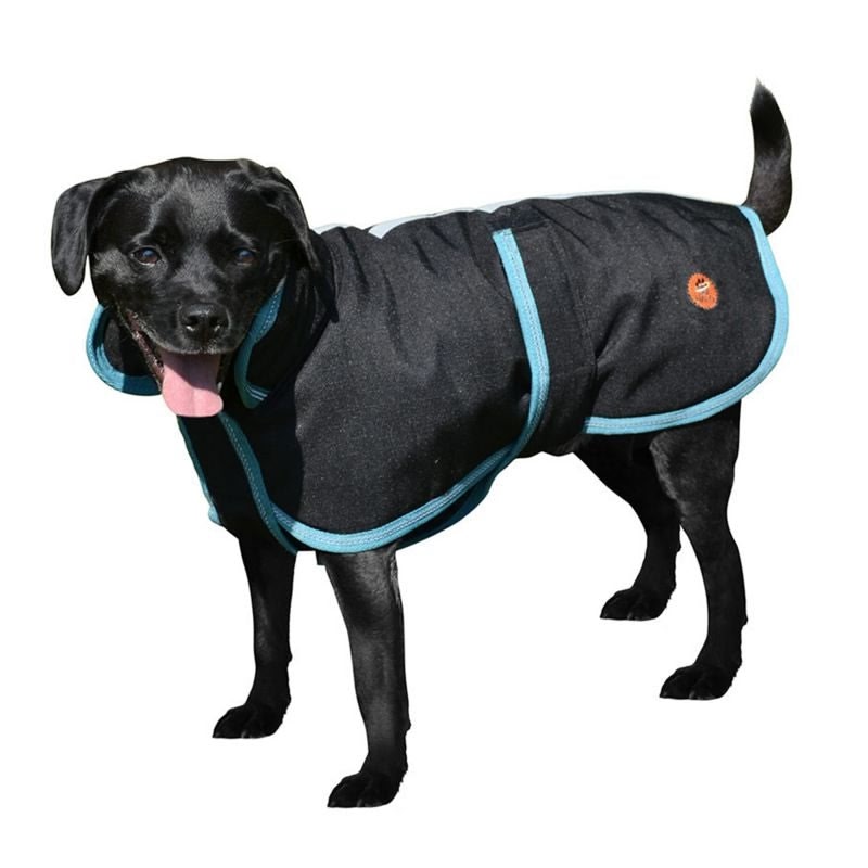 Halo Bonum Dog Coat with Collar