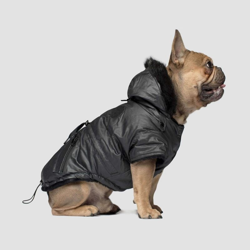 Canada Pooch Urban Wax Black Dog Parka