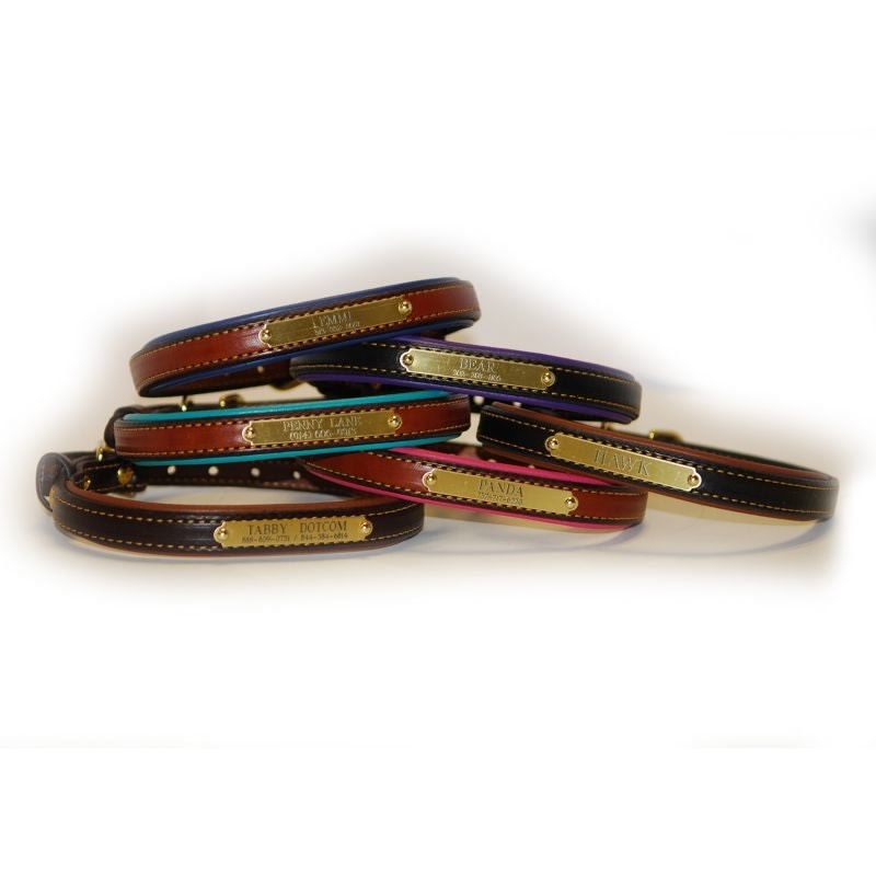 Personalized Padded Leather Dog Collar