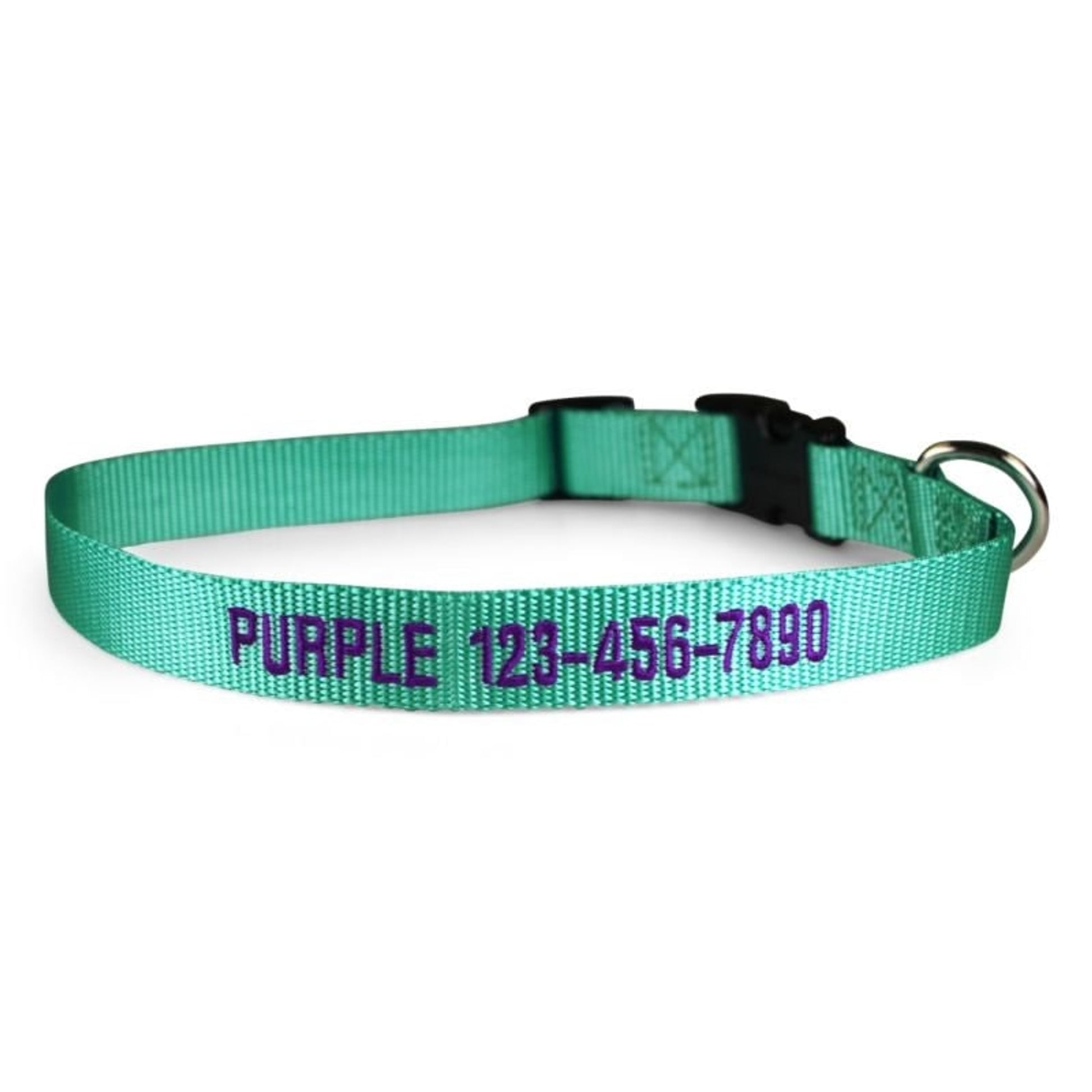 Personalized Mint Green Nylon Dog Collar