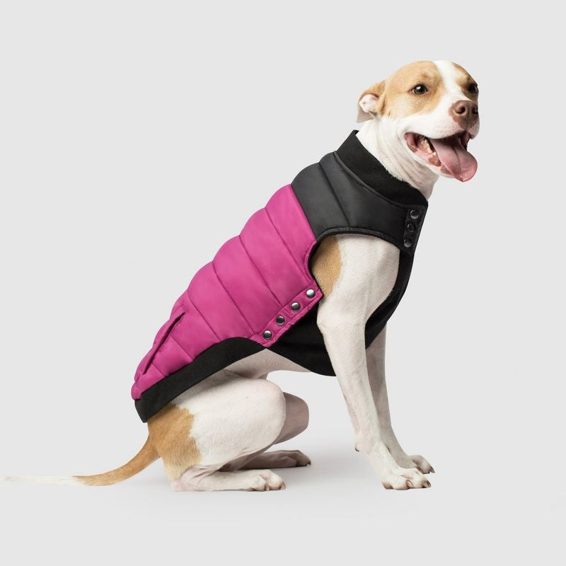 Canada Pooch Summit Stretch Dog Vest