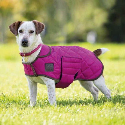 Shires Quilted Dog Coat