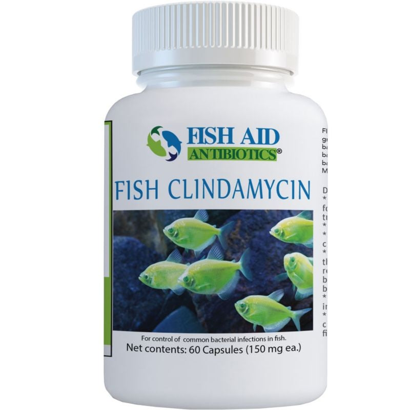 Fish Aid Antibiotics Fish Ciprofloxacin 250 MG