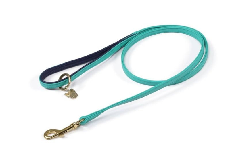 Shires Digby Padded Leather Dog Lead