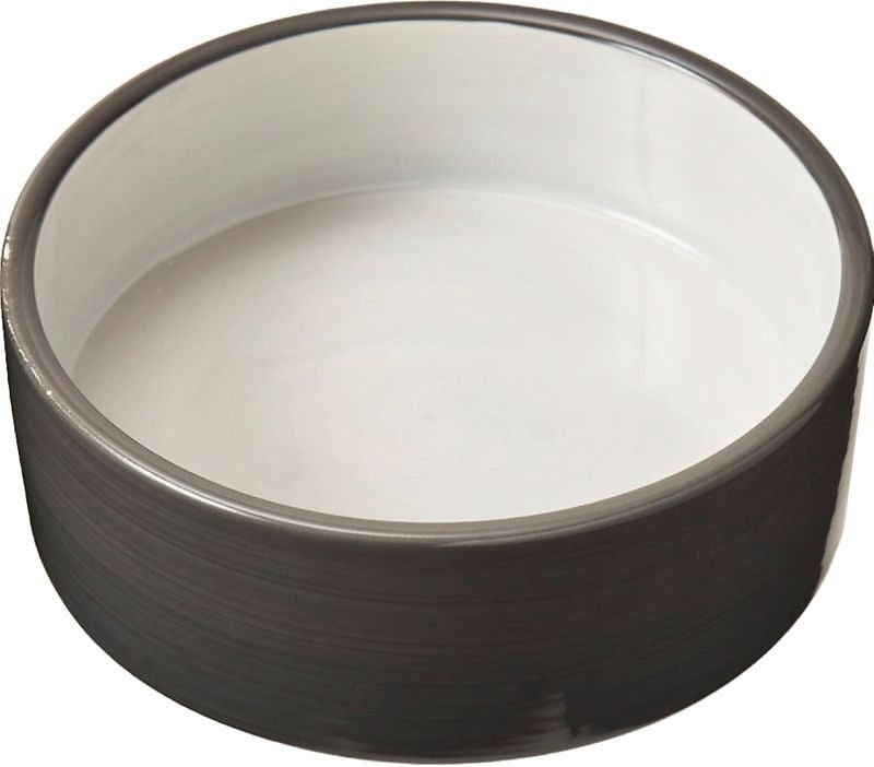 Spot Stoneware Dog Dish