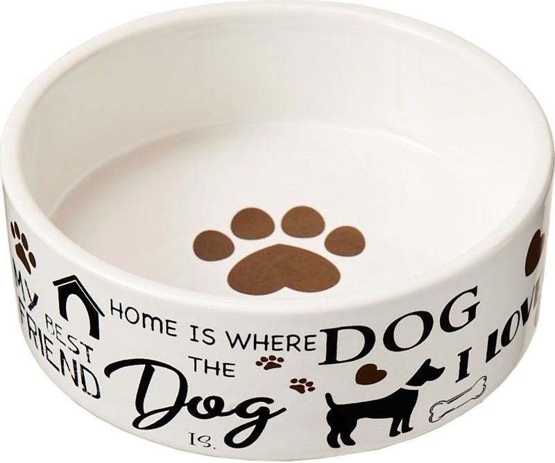 Spot Stoneware Dog Dish