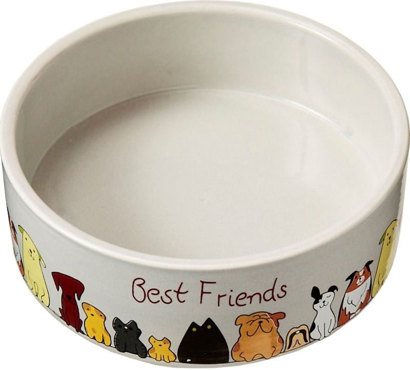 Spot Stoneware Dog Dish
