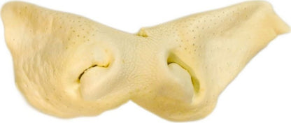 TP08753.jpg