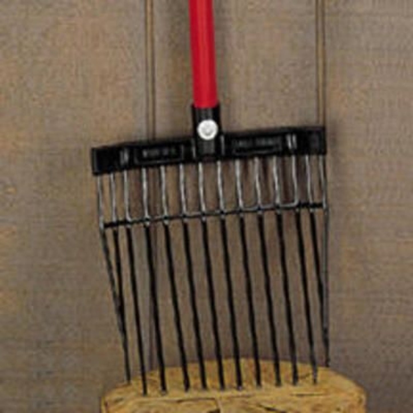 TSLT310256_89852.jpg