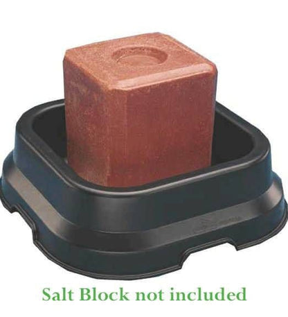 TSLT310528.jpg