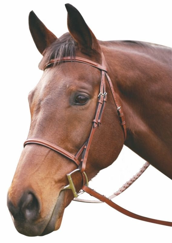 Henri de Rivel Advantage Plain Raised Snaffle Brid