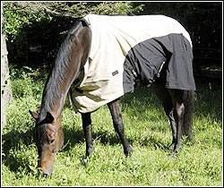 Tuff Rider Turnout Sheet