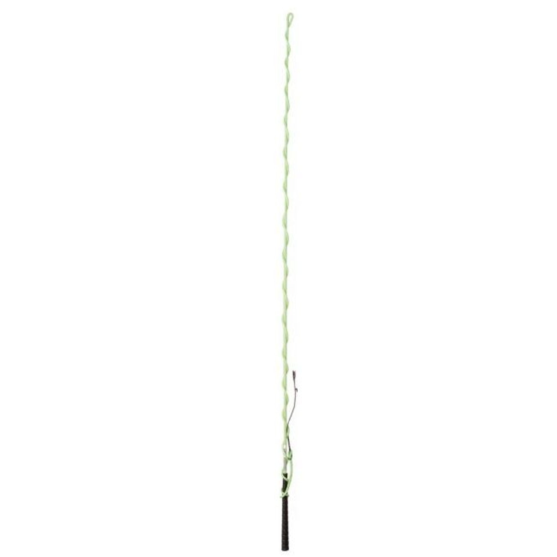 TSLT731077_green.jpg