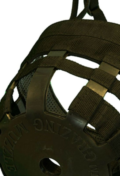 TSLT733837_01.jpg