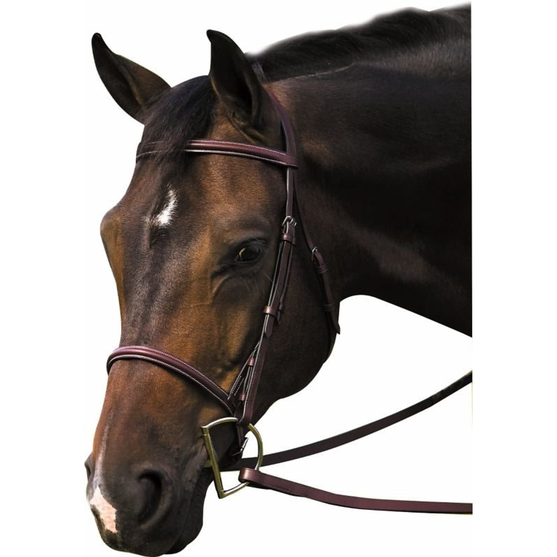 Henri De Rivel Raised Bridle