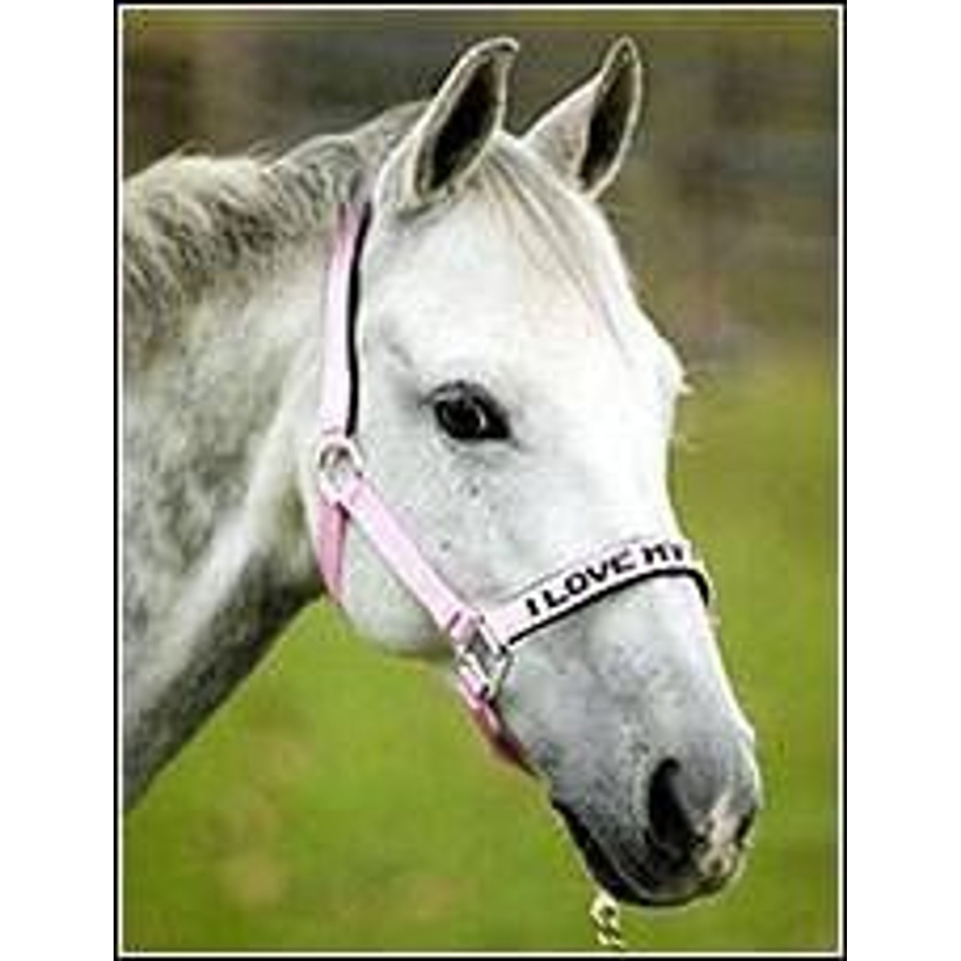Halter I Love My