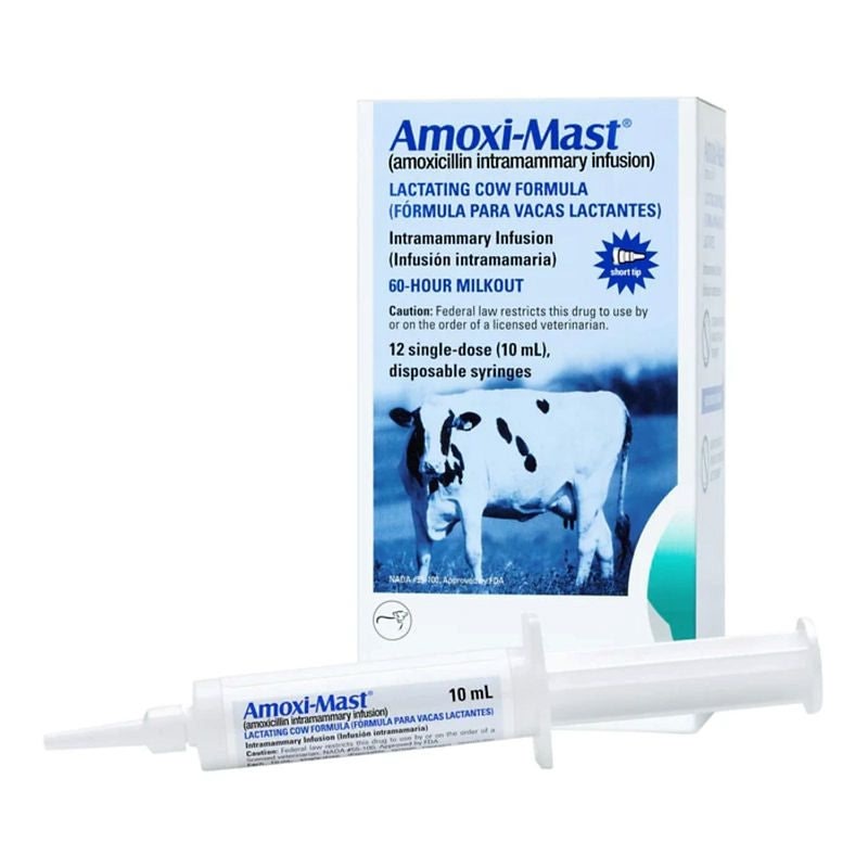 RX Amoxi-Mast 12 Single Dose 10ml Syringes