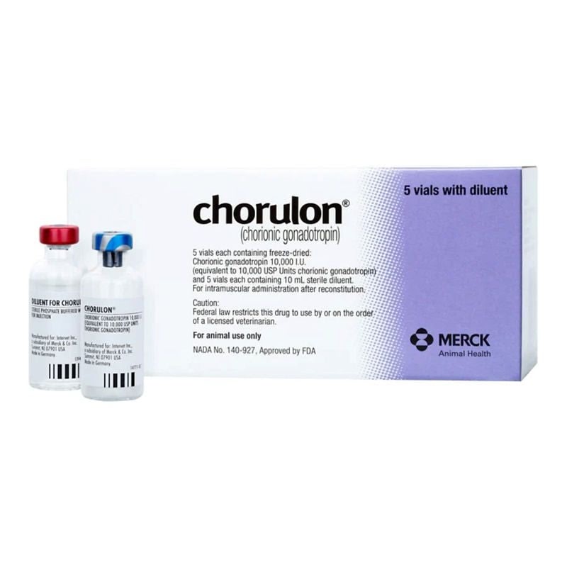 RX Chorulon for Cattle