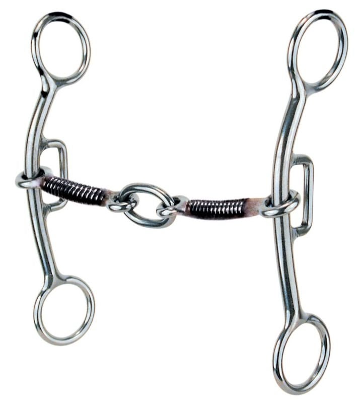 Reinsman Sharon Camarillo Lifesaver Plus Touch Bit