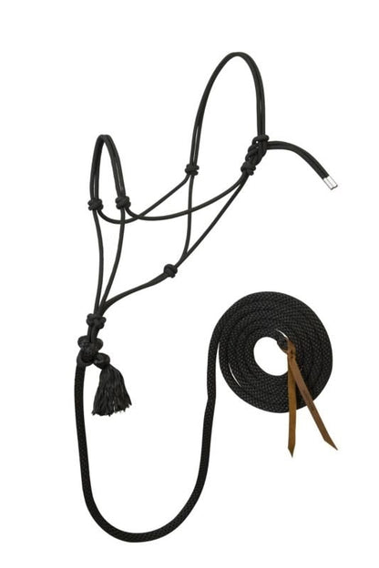 Silvertip No.95 Halter with 12ft Lead