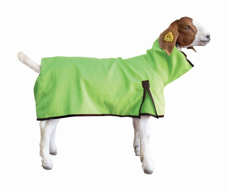 Goat Blanket Lime