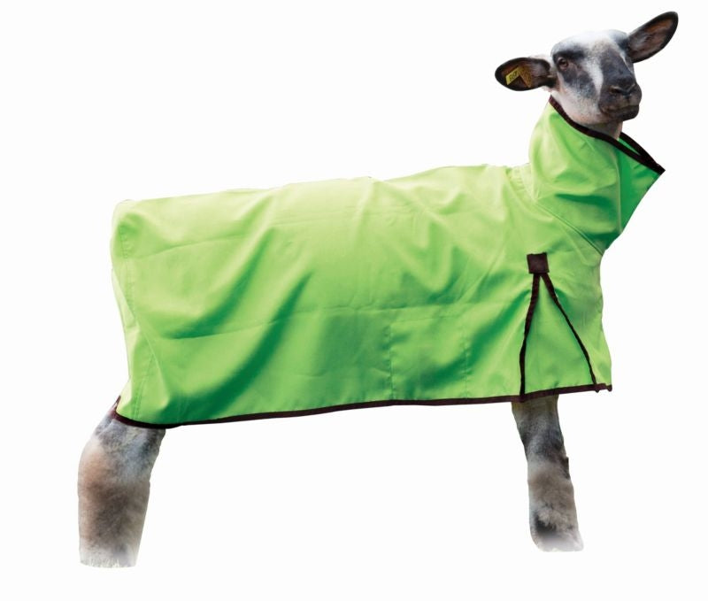 Solid Butt Sheep Blanket Lime