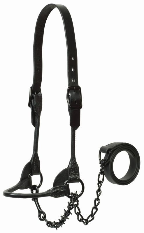 Weaver Show Halterw/Pronged Lead Chain