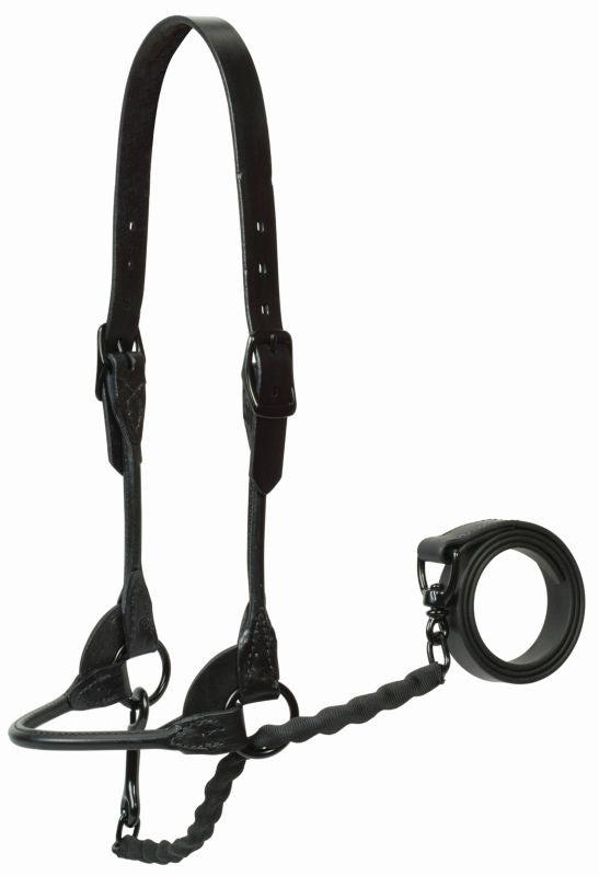 Weaver Show Halterw/Covered Chain Lead