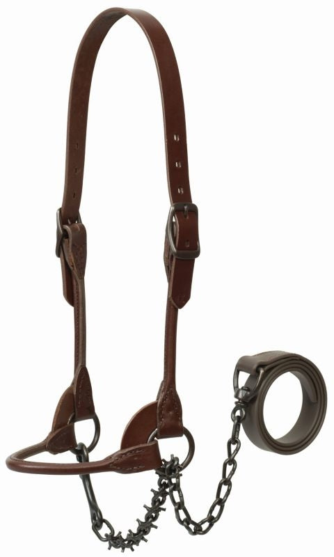 Weaver Show Halterw/Pronged Lead Chain