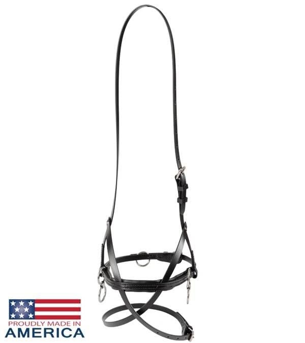 Featherweight Synthetic Figure 8 Race Halter Combo