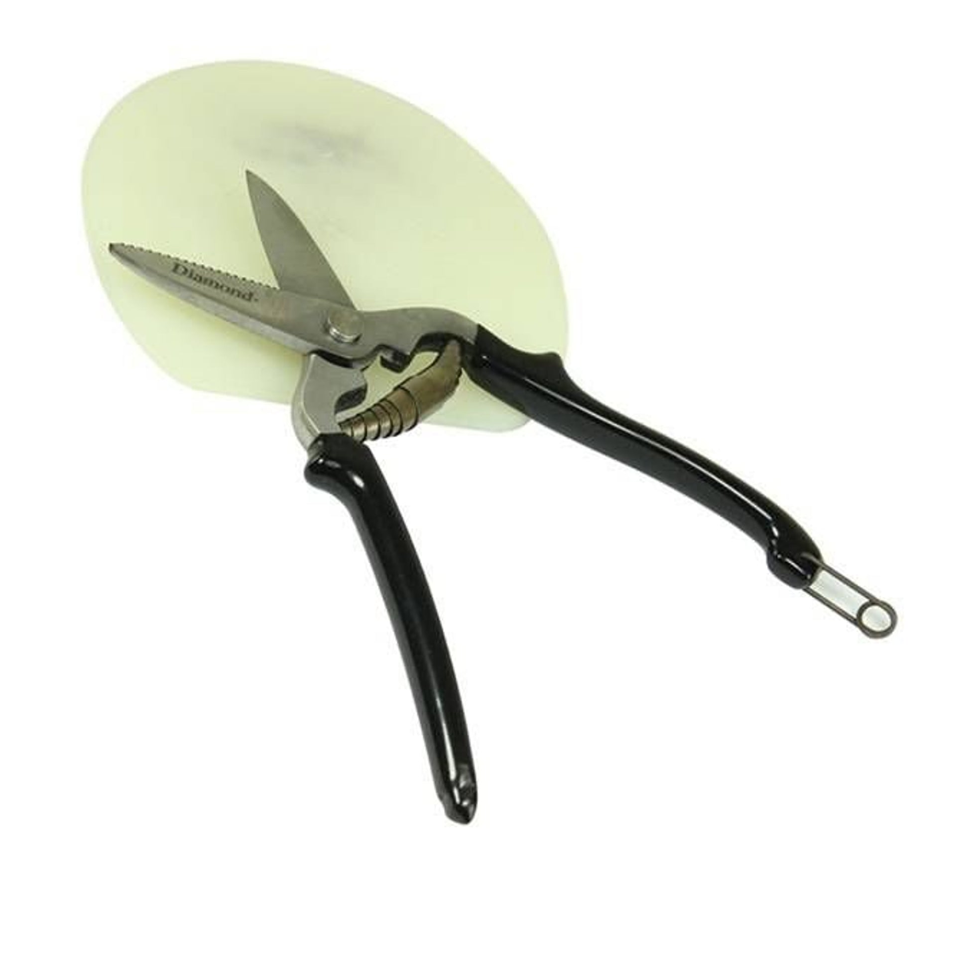 Diamond Pad Shears 9In