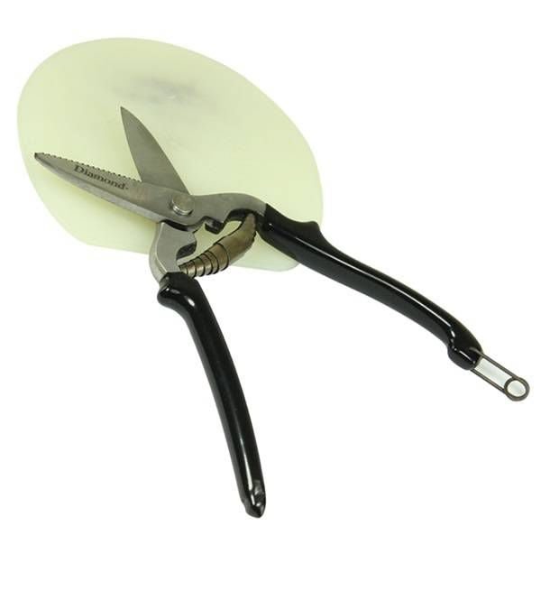 Diamond Pad Shears 9In