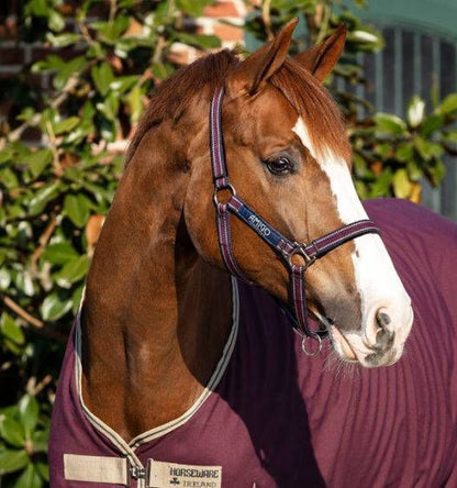 Amigo Headcollar Cob Navy/Silver