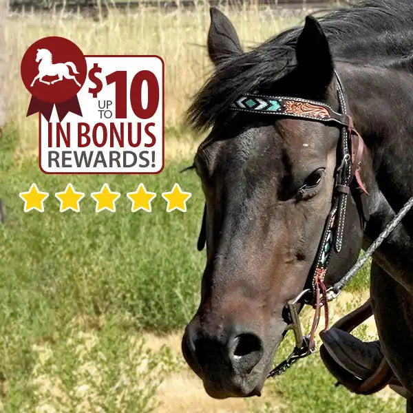 Turquoise Beaded Headstall