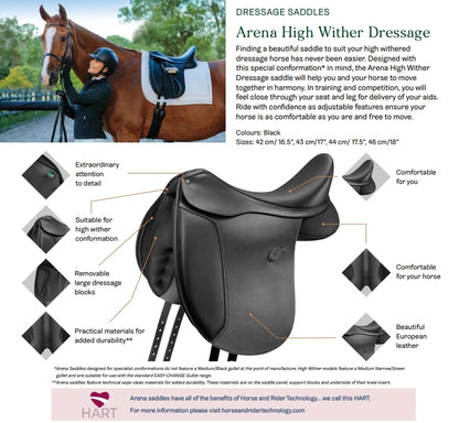 arenahwdressage.jpg
