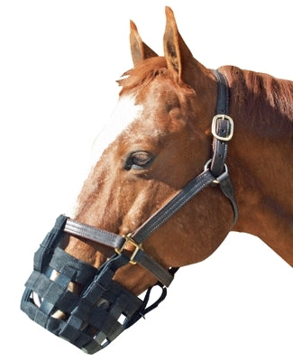 Best Friend Standard Grazing Muzzle
